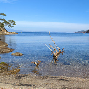 plage de port cros avec vue sur bormes les mimosas au loin